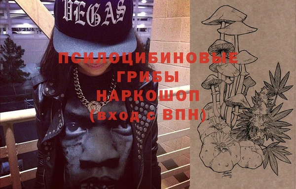 a pvp Дмитров