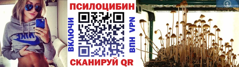Галлюциногенные грибы Magic Shrooms  Купить  Петухово 